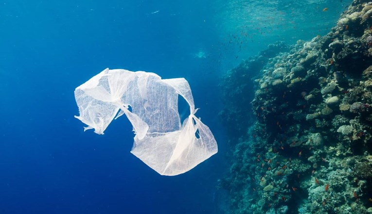 Biorazgradive vrećice čitave nakon 3 godine u moru. Radi li se o prevari?